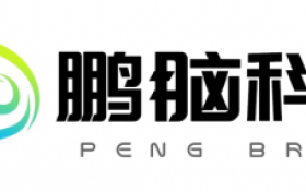 「鹏脑科技」获同创伟业数千万天使轮投资，脑机接口赛道再添新势力