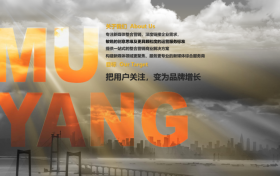 沐阳文化：把用户关注，变成品牌增长