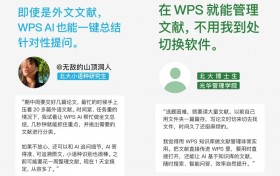 在北大，他们这样用WPS写论文：AI全链路辅助，从读文献到做PPT