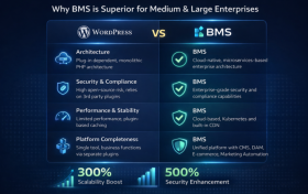 从 WordPress 到 BMS：企业级数字化体验平台的全面升级之路